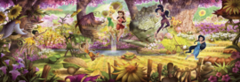 Komar Disney Edition4 Fotobehang 4-416 Fairies Forest/Sprookjes bos