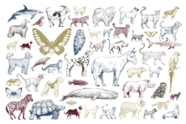 Dimex/Wall Murals 2023 Fotobehang MS-5-1482 Animal Collection ll/Dieren/Kinderkamer