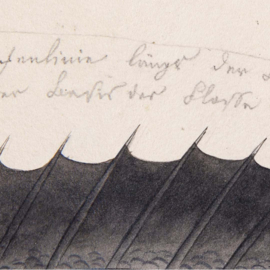 DWD Natural History/Keiga Kawahara Fotobehang NH250026 Zwarte Vis/Maatwerk