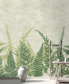 Noordwand Herbarium Fotobehang HED27293 Botanisch/Bladeren/Varens