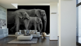 AS Creation APDigital2 Fotobehang  470512 Three Elephants/Olifanten