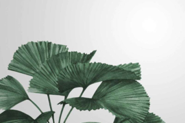 AS Creation Designwalls 2 Canvas Schilderij DD123833 Tropical Leaves/Bladeren/Natuurlijk
