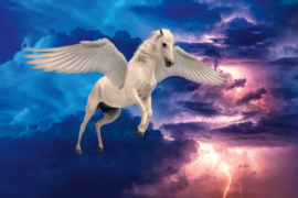 Dimex/Wall Muals 2023 Fotobehang MS-5-1245 Legendary Pegasus/Gevleugeld Paard