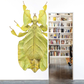 DWD Natural History Fotobehang NH250011 Wandelend Blad/Maatwerk