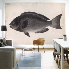 DWD Natural History/Keiga Kawahara Fotobehang NH250026 Zwarte Vis/Maatwerk