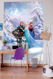 Komar Disney Edition4 Fotobehang 4-498 Frozen Winter land/Anna/Elsa