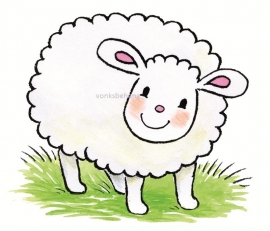 Fotobehang 5040a Jolly sheep-Noordwand