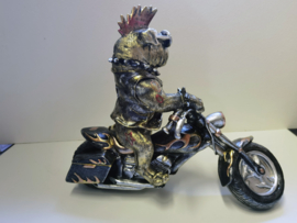 Bulldog- Motor - Beeld - Polyresin - Goud - Formano - 33x28x15cm - Beeld - Decoratie - Cool!!