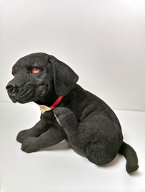 Hond - Country Artist - Zwart - Puppy - Labrador - 25cm