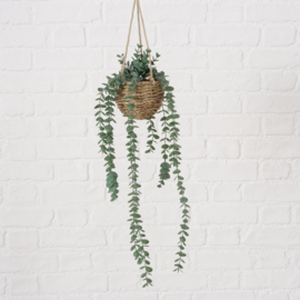Hang plant in potje -  Eucalyptus - 78cm - Groen - Kunststof.