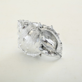 Schelp - Zeefruit - Decoratie - 2 set - zilver - 14 cm