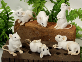 Muis - Muizen familie - Set van 6 - Gezellig - 8 cm - Wit - Polyresin