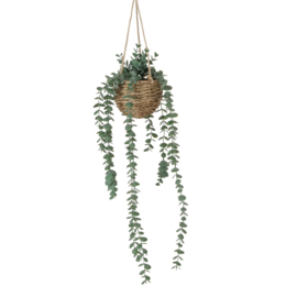 Hang plant in potje -  Eucalyptus - 78cm - Groen - Kunststof.