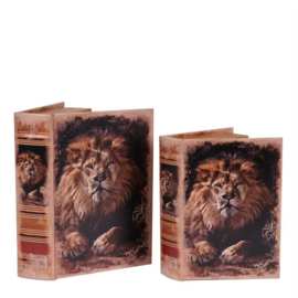 Boek - 2 Set - Decoratie - Opbergkistje - 27x19x6.5 cm