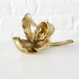 Decoratie bloemen - 2 set -  Polyserin - Orchidee  - Ø 10cm - 20cm - Goud