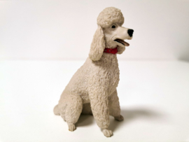 Hond - Country Artist - Wit - Poedel- 9cm