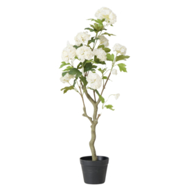 Plant in potje -  Hortensia - 90m - Groen - Kunststof - Wit - Beton