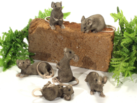 Muis - Muizen familie - Set van 6 - Gezellig - 8 cm - Bruin- Polyresin