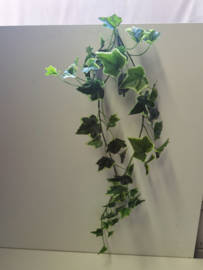 Kunst tak - Hang tak - Hedera Chicago - Chicago hanger - Groen - Geel - 80x20cm.