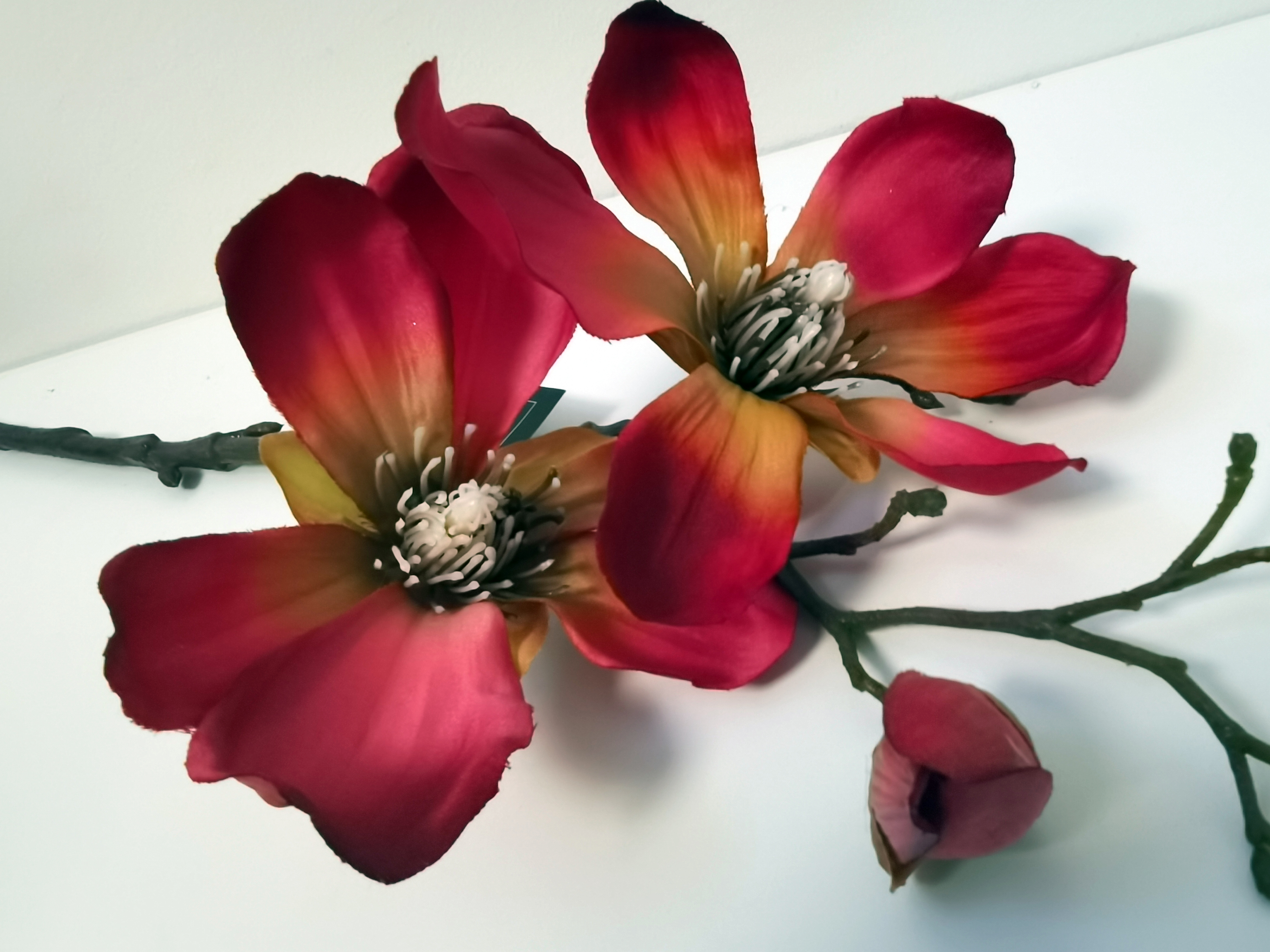 Magnolia - Tak - Decoratie - Bloemtak - Kunststof - Rood - 50cm - Pure