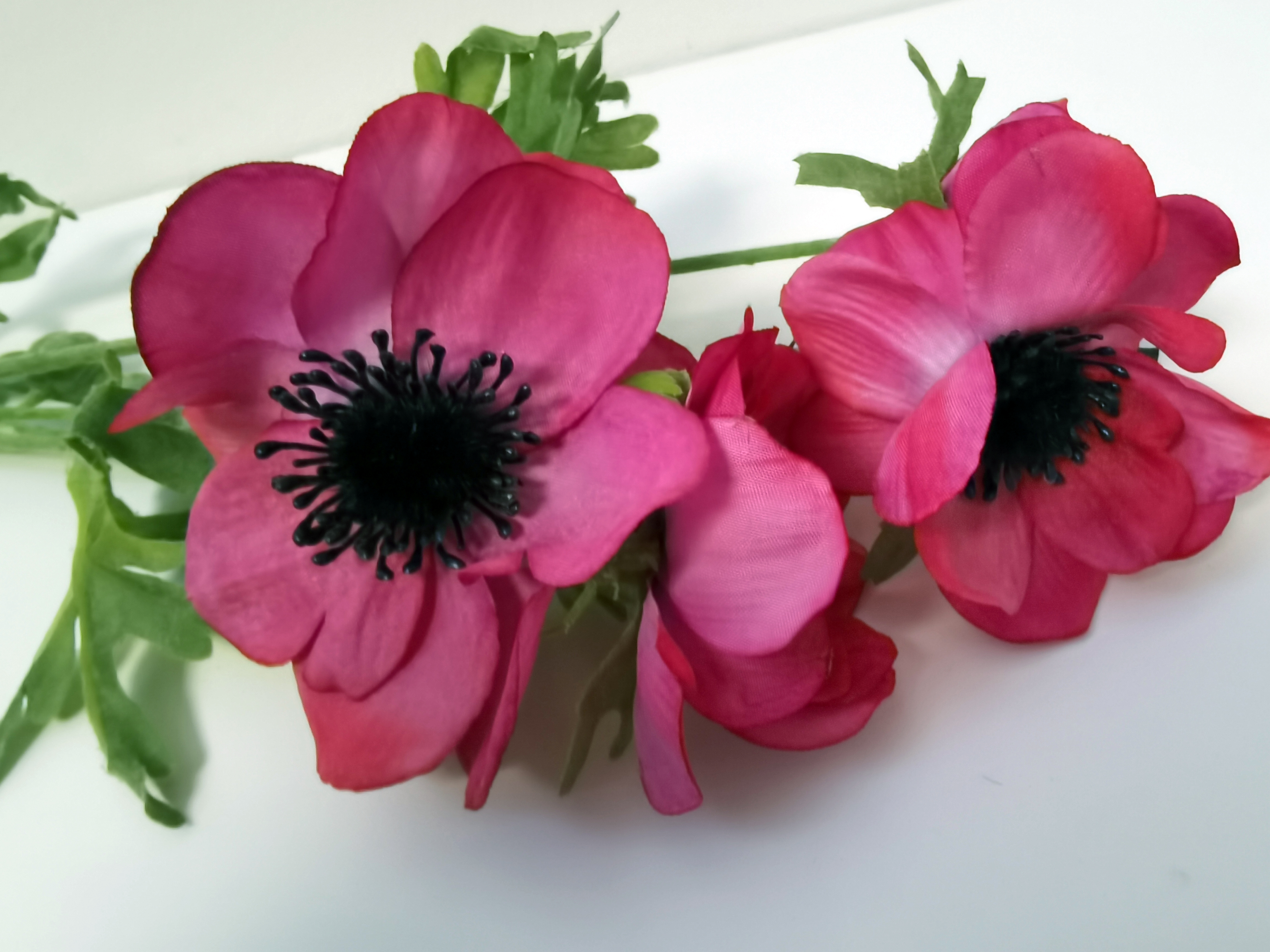 Klaproos  - Decoratie - Bloemtak - Kunststof - Paars Rood - 32cm - Pure