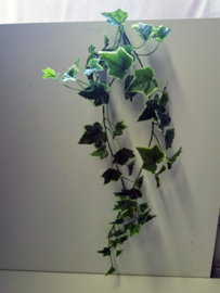 Kunst tak - Hang tak - Hedera Chicago - Chicago hanger - Groen - Geel - 80x20cm.