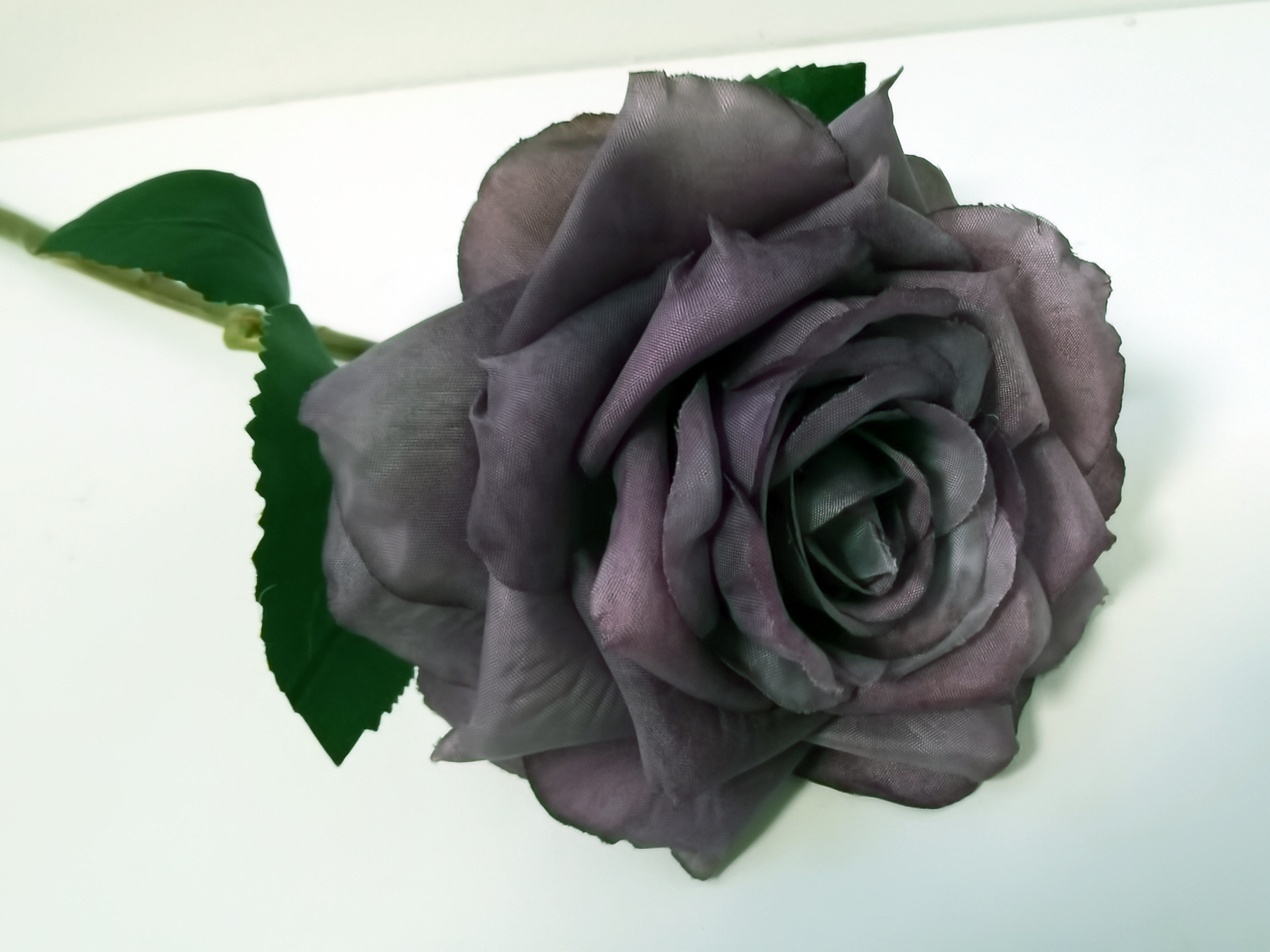 Roos  - Decoratie - Bloemtak - Kunststof - Paars - 30cm - Pure