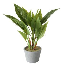 Plant in potje - 35m - Groen - Kunststof - Monstera - Grijs
