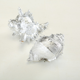 Schelp - Zeefruit - Decoratie - 2 set - zilver - 14 cm