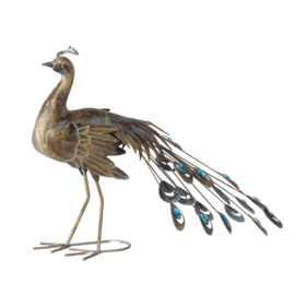 Pauw - Vogel - Antiek Goud - Metaal - 64x22x47cm. - Binnen en Buiten.