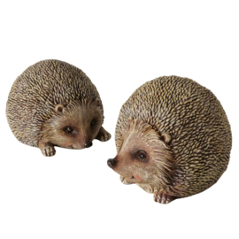 Egel - 2 set - Beeld - Polyresin - Bruin  - 14x13x10cm