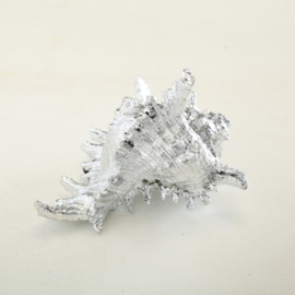 Schelp - Zeefruit - Decoratie - 2 set - zilver - 14 cm