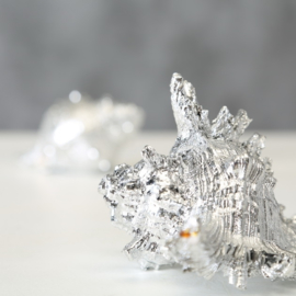 Schelp - Zeefruit - Decoratie - 2 set - zilver - 14 cm