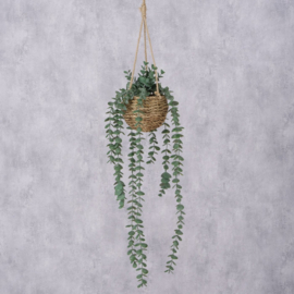Hang plant in potje -  Eucalyptus - 78cm - Groen - Kunststof.