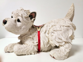 Hond - Country Artist - Wit - Puppy - West highland terrier - 22.5cm