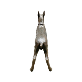 Groot bronzen boxer hond beeld