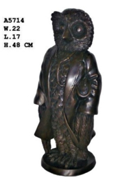 Minerva dokter uil bronsbeeld