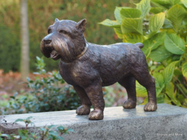 Yorkshire hond bronzen beeld