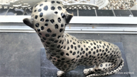 Bronzen cheetah of jachtluipaard