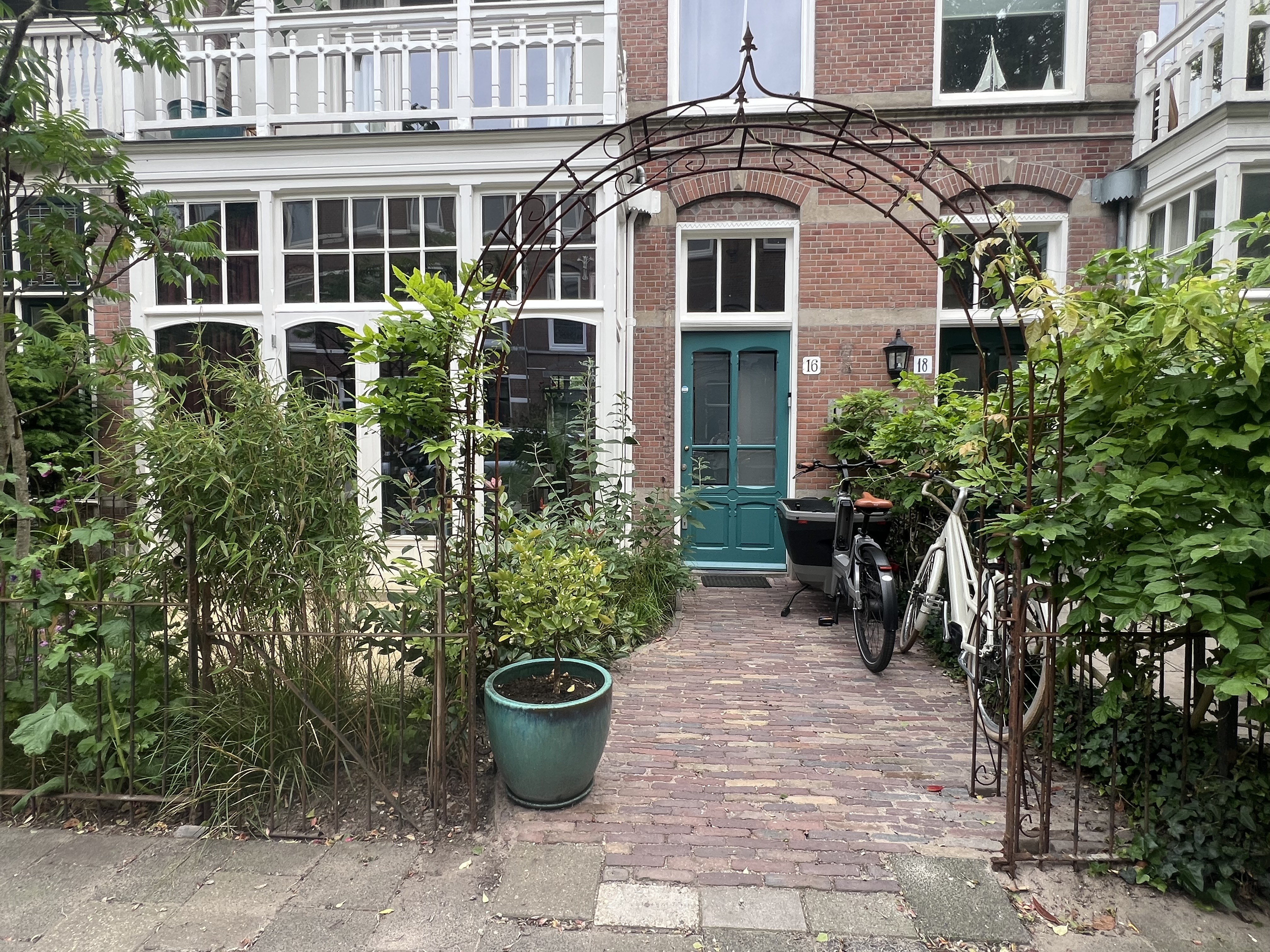 Brede rozenboog XXL volstaal