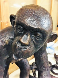 Chimpansee bronzen aap beeld