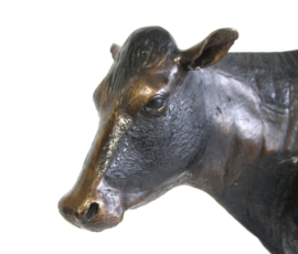 Koe bronzen beeld