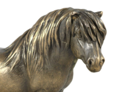 Shetlandpony beeld op houten urn