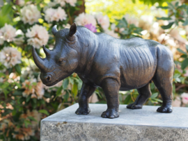 Bronzen neushoorn beeld