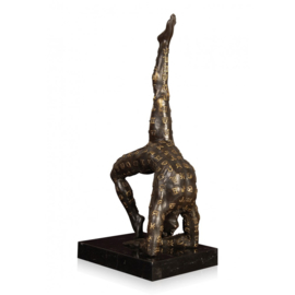 Zodiak bronzen dierenriemteken beeld