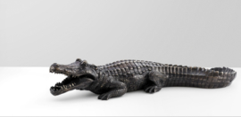 Krokodil alligator bronzen beeld