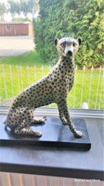 Bronzen cheetah of jachtluipaard