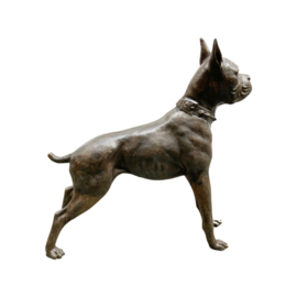 Groot bronzen boxer hond beeld