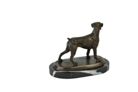 Boxer hond staand bronzenbeeld