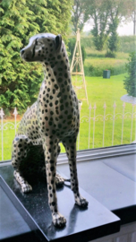 Bronzen cheetah of jachtluipaard